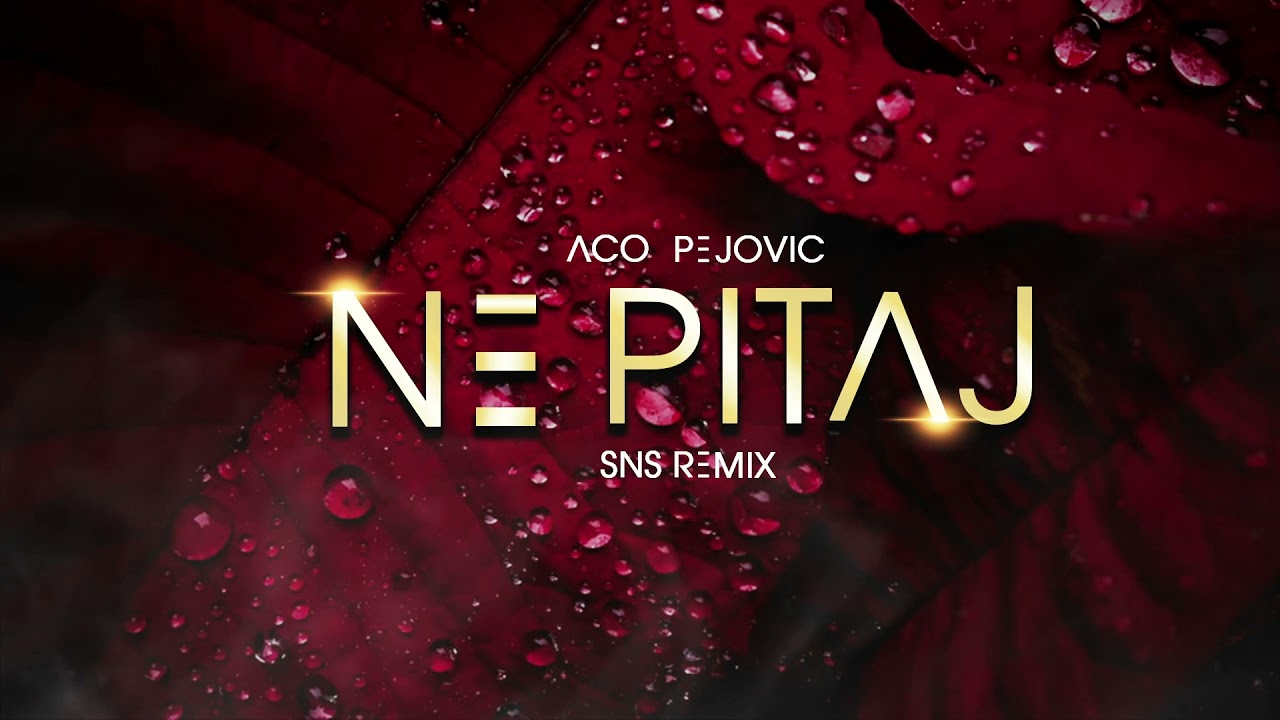 Aco Pejovic Ne Pitaj SNS Club Remix