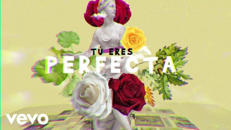 Luis Fonsi Farruko Perfecta Lyric Video