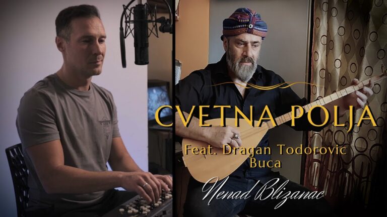 Nenad Blizanac feat Dragan Todorovic Buca Cvetna polja NEW