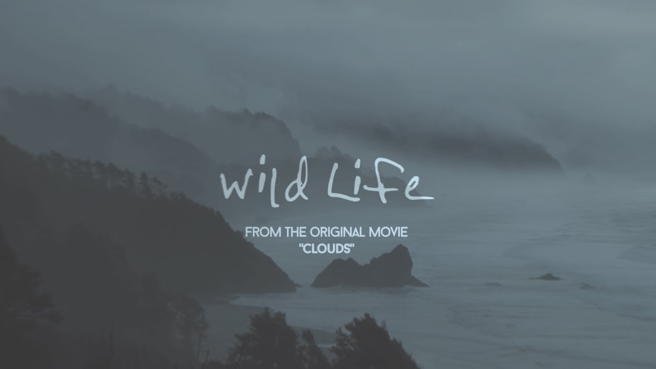 OneRepublic Wild Life Lyric Video