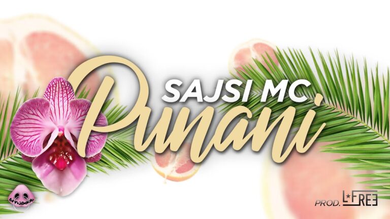 SAJSI MC PUNANI OFFICIAL LYRICS VIDEO