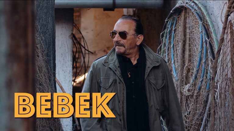 Zeljko Bebek Dunavom Official video 2019 4K