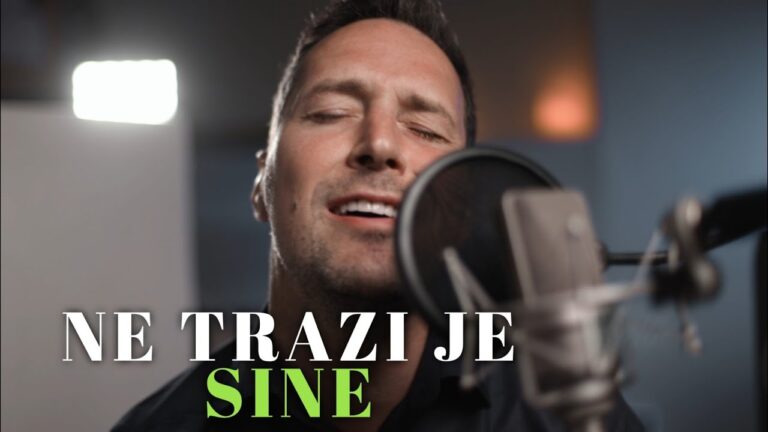 PEDJA JOVANOVIC NE TRAZI JE SINE COVER