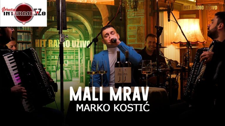 Marko Kostic amp orkestar Intermezzo Mali mrav LIVE COVER