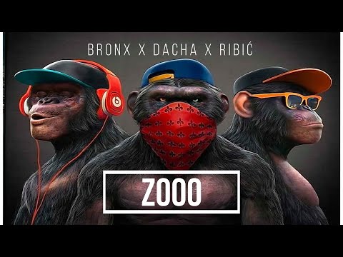 BRONX x DACHA x RIBIC ZOOO