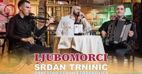 Srdjan Trninic Ljubomorci orkestar Gorana Todorovica