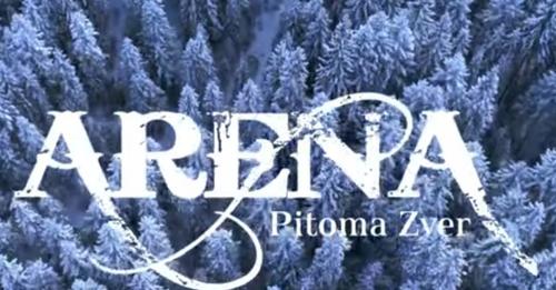 ARENA BAND - PITOMA ZVER (OFFICIAL VIDEO)