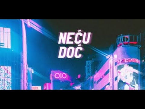 Goca RIP x Elon Necu Doc Lyrics Video