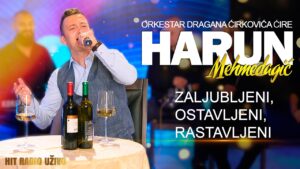 Harun Mehmedagic Zaljubljeni ostavljeni rastavljeni Orkestar Dragana Cirkovica Cire