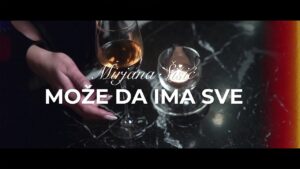 Mirjana Sisic Moze da ima sve Official Video