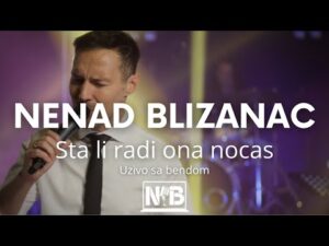 NENAD BLIZANAC STA LI RADI ONA NOCAS uzivo sa