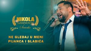 Nikola Ajdinovic Ne gledaj u meni pijanca i slabica