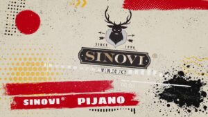 Sinovi ® Pijano Official lyrics video 2020