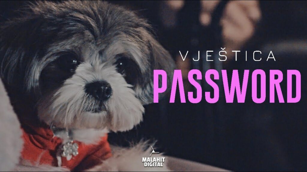 VJESTICA PASSWORD Official Video