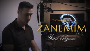 Zanemim Nenad Blizanac NEW SONG