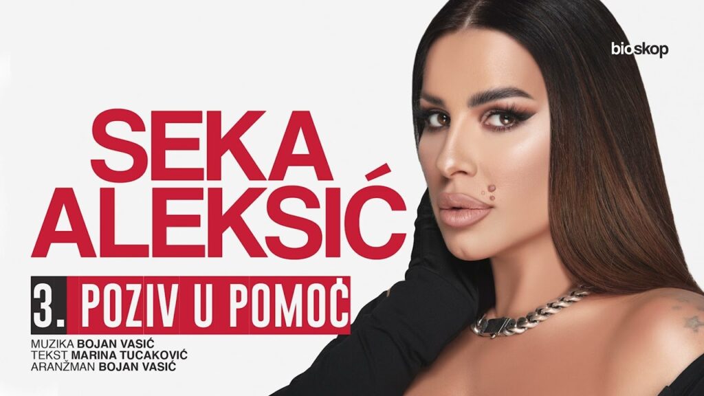 SEKA ALEKSIC POZIV U POMOC AUDIO 2022