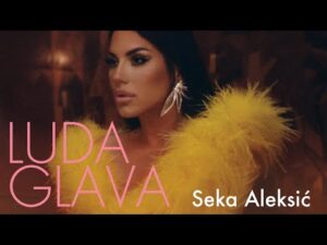 SEKA ALEKSIC LUDA GLAVA OFFICIAL VIDEO 2022