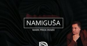 Fedja Dizdarevic Namigusa Mark Pride Remix