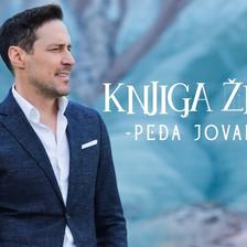 PEDJA JOVANOVIC - KNJIGA ZIVOTA (OFFICIAL VIDEO 2024)